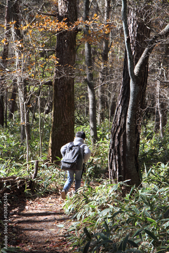 ハイキングする小学生(1年生)