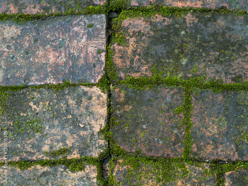 cement brick Mos floor
