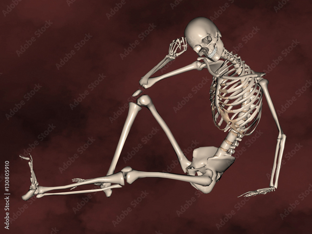 Human skeleton M-SK-POSE G-08-2, 3D Model