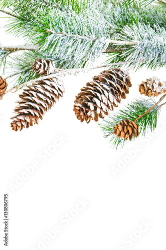 Christmas decoration on white background