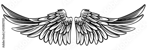 Spread Pair of Angel or Eagle Wings photo