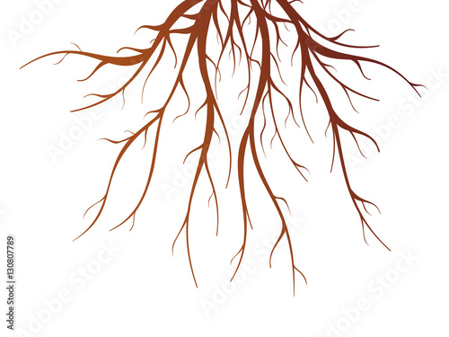 Tree Root Isolated Illustration