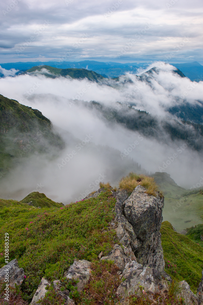 fog fog