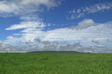 草原の風景　青空と雲
