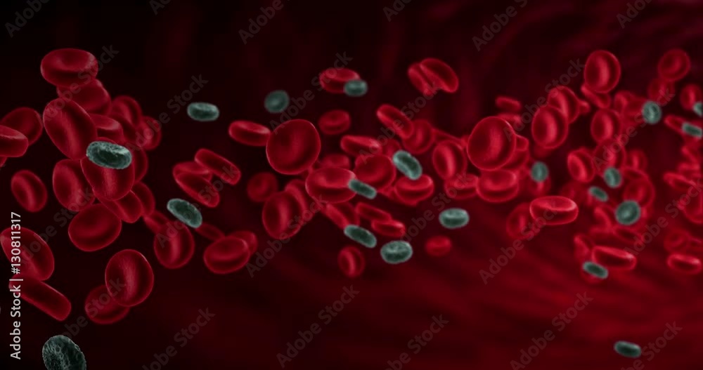 red blood cells animation in an artery with diseased cells near virus and bacteria, flow inside body, medical human health-care red blood cells animation in an artery with diseased cells near virus and bacteria, flow inside body, medical human health-care