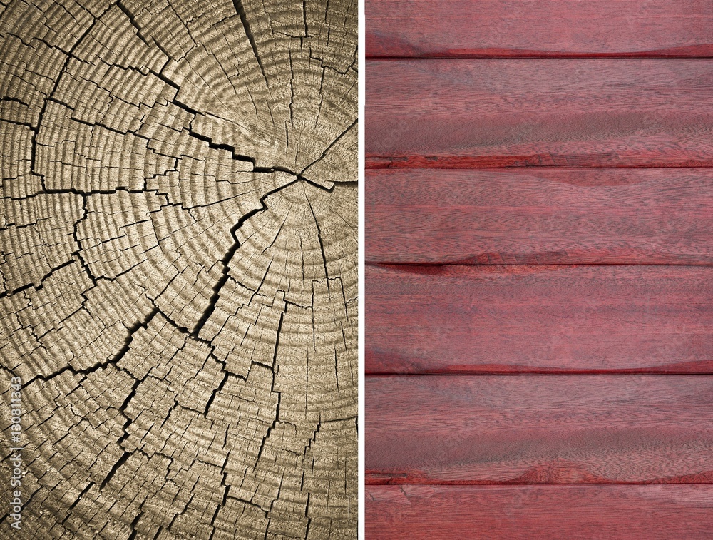 Fototapeta premium Wood texture. Lining boards wall. Wooden background. pattern. Showing growth rings. set