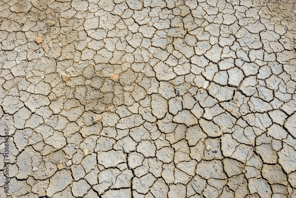 Dry cracked soil surface Dry cracked soil surface