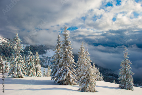 Winter Carpathian mountains and fog with beautiful sunlight. Trees covered with snow. © pyvovarpavlo