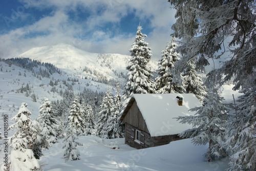 Winter Carpathian mountains and fog with beautiful sunlight. Trees covered with snow. Little house. © pyvovarpavlo