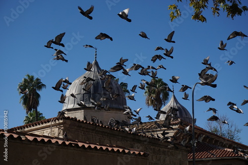 Adana,güvercin,minare,ramazanoglu,kuşlar,gökyüzü,namaz,ulucami