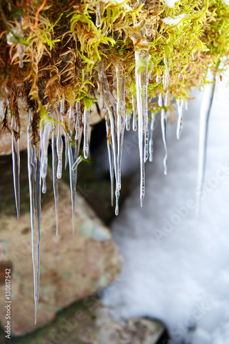 icicles