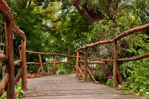 wooden bridge in the forest