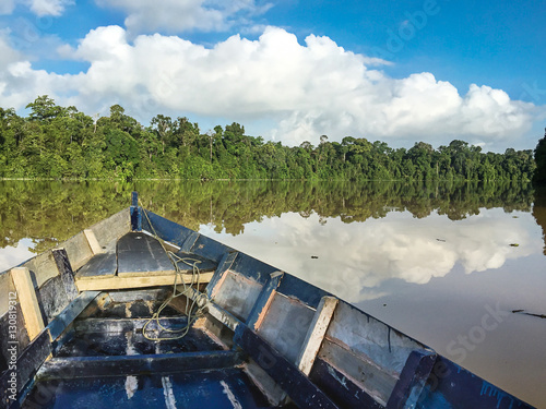 Kinabatangan river, Malaysia, rainforest of Borneo island