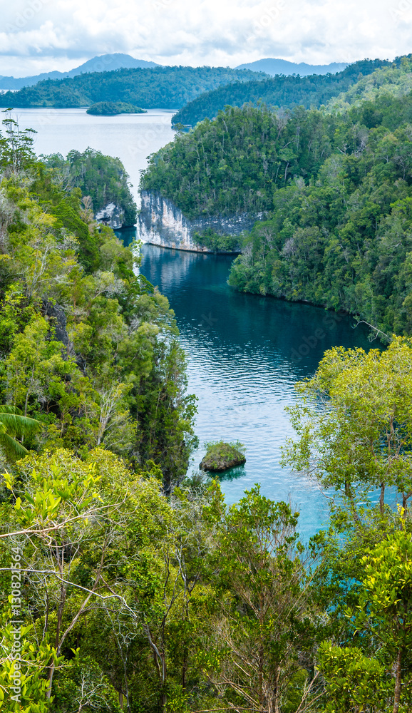Passage between Jungle Rocks, Mangrove near Warikaf Homestay, Kabui Bay. Gam Island, West Papuan, Raja Ampat, Indonesia