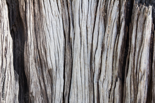 Rough cracked wood plate texture background