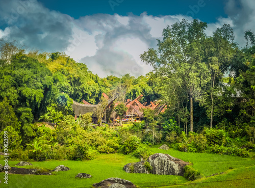 Nature in Toraja region photo
