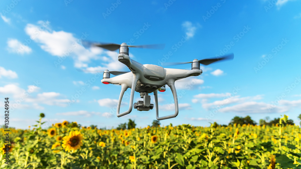 Drone hovering over Sunflower Garden. Drone hovering over Sunflower Garden.