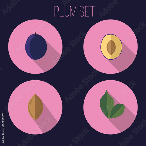 plum set vector illustration leaves illustration leaf purple pink stone half 