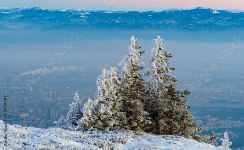 Beautiful frosty sunrise in the mountains - Vitosha, Bulgaria - pine trees in the foreground