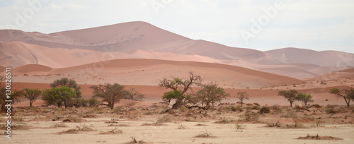 Namib landscape