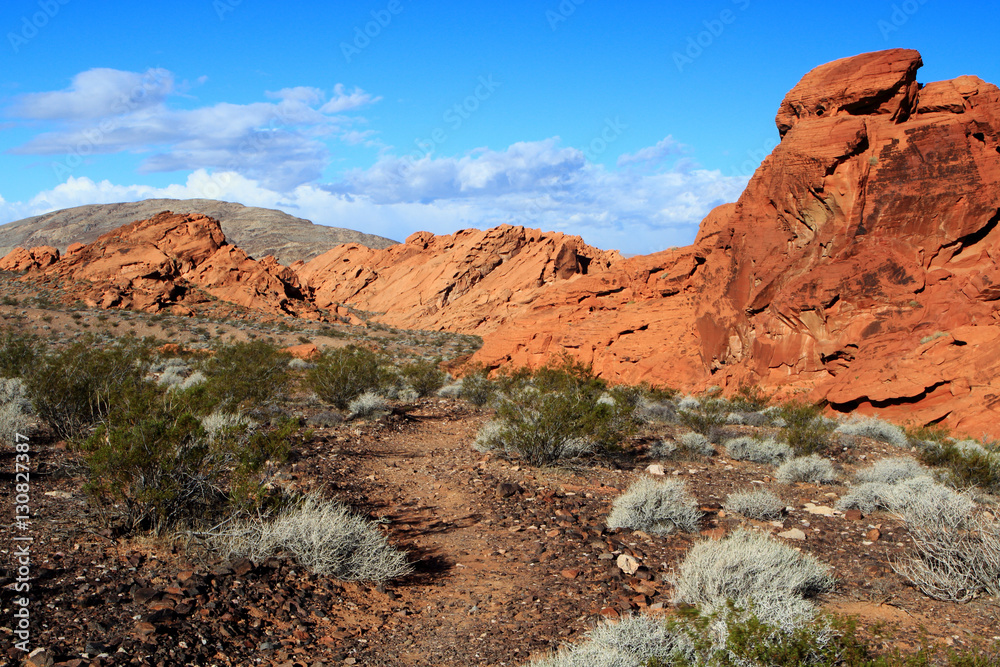 Redstone Rocks Scenic Trail at Lake Mead National Recreation Are