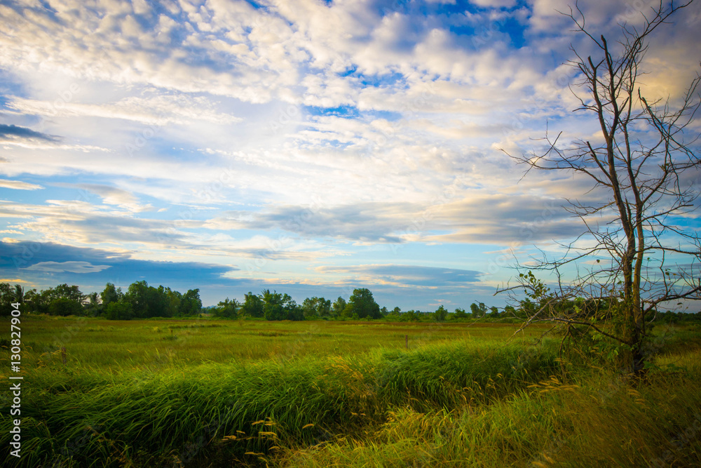 sunset over meadow. sunset over meadow.