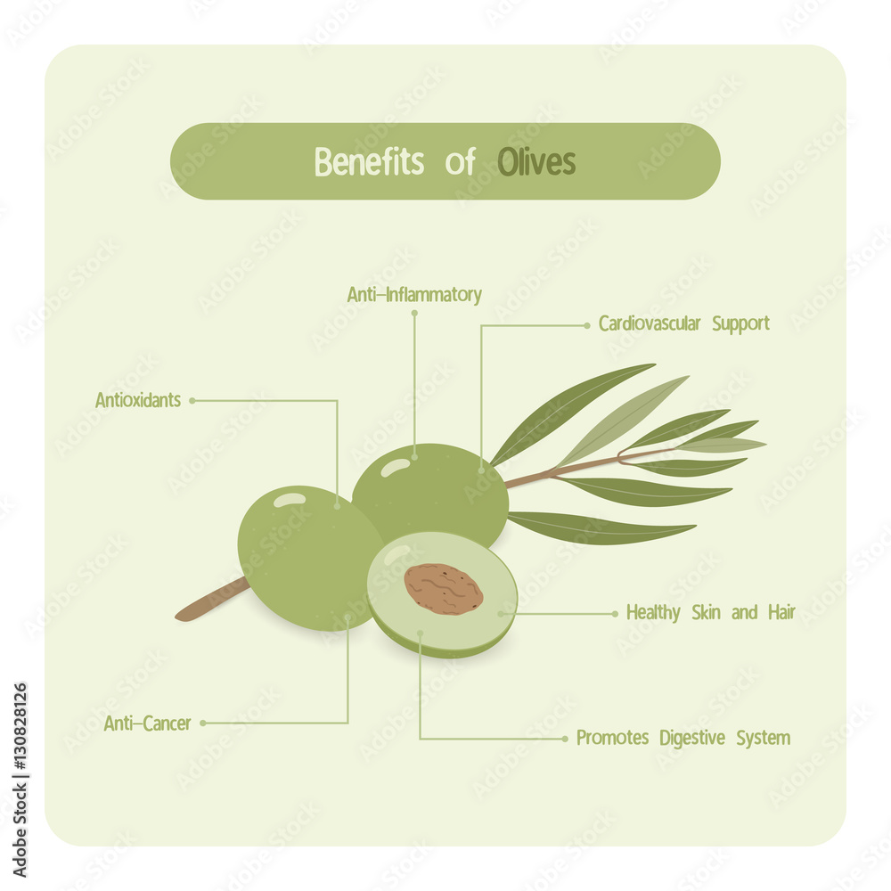 Infographic for green olive benefits with handwriting font style Stock