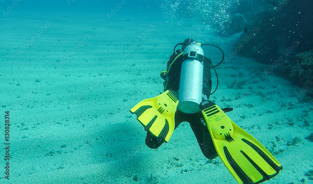 Diver at the red sea