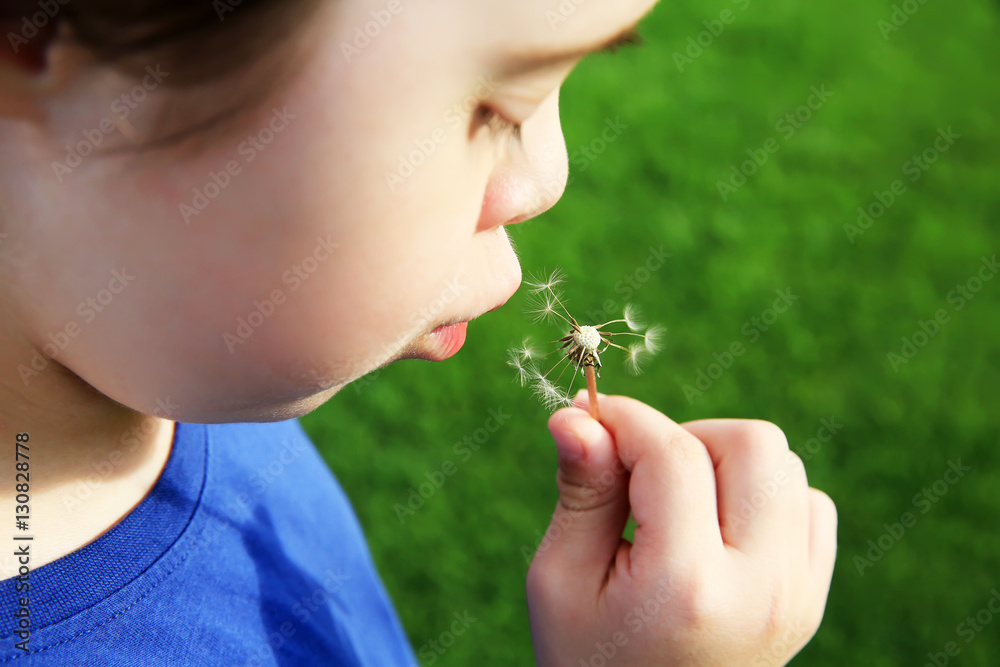 Little girl blowing dandelion Little girl blowing dandelion