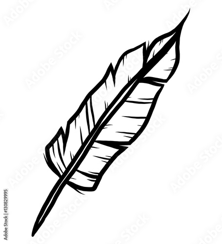 feather / cartoon vector and illustration, black and white, hand drawn, sketch style, isolated on white background.