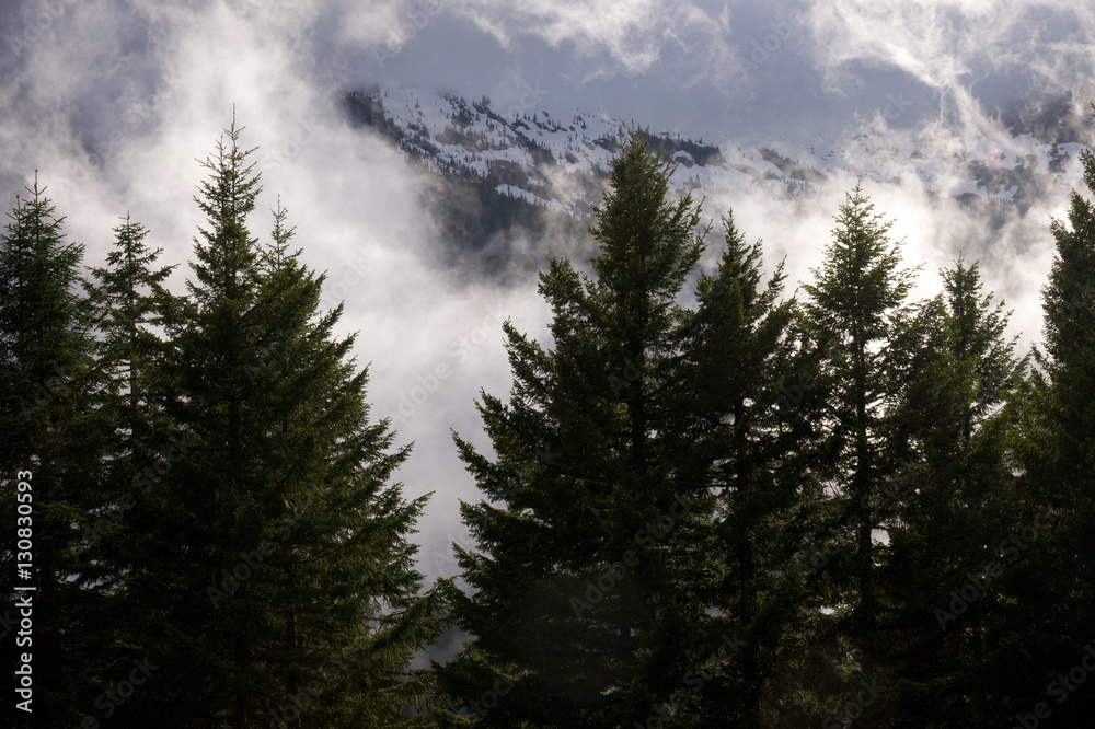Low Clouds in Mount Rainier Nat'l Park, WA, USA