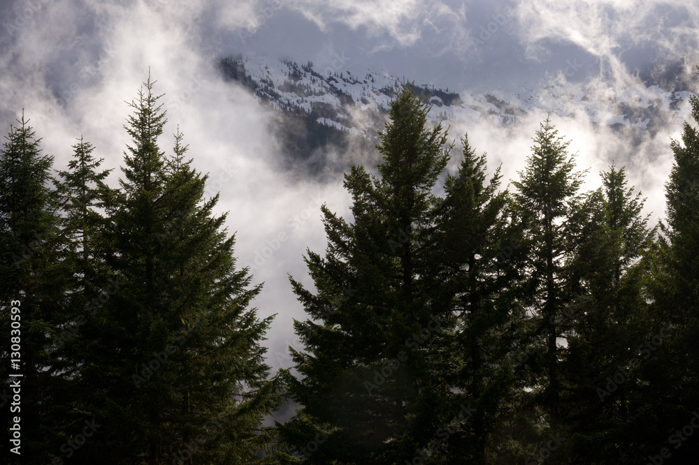 Low Clouds in Mount Rainier Nat'l Park, WA, USA Low Clouds in Mount Rainier Nat'l Park, WA, USA