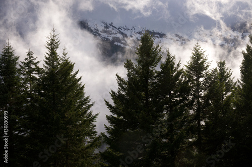 Low Clouds in Mount Rainier Nat'l Park, WA, USA