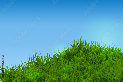 Green grass isolated on blue sky background.