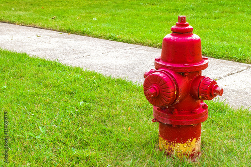 red fire hydrant in grass