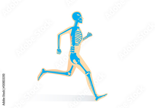 Human Bone Anatomy while run isolated. Illustration about human physical and sport.
