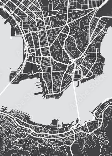 Photo Vector detailed map Hong Kong