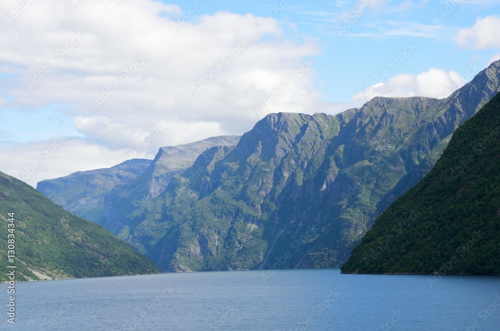 Norwegian fjord and woodland  mountainside