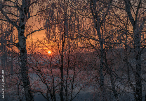 Зимний пейзаж в видом уходящего за горизонт солнца сквозь ветви заснеженных деревьев 