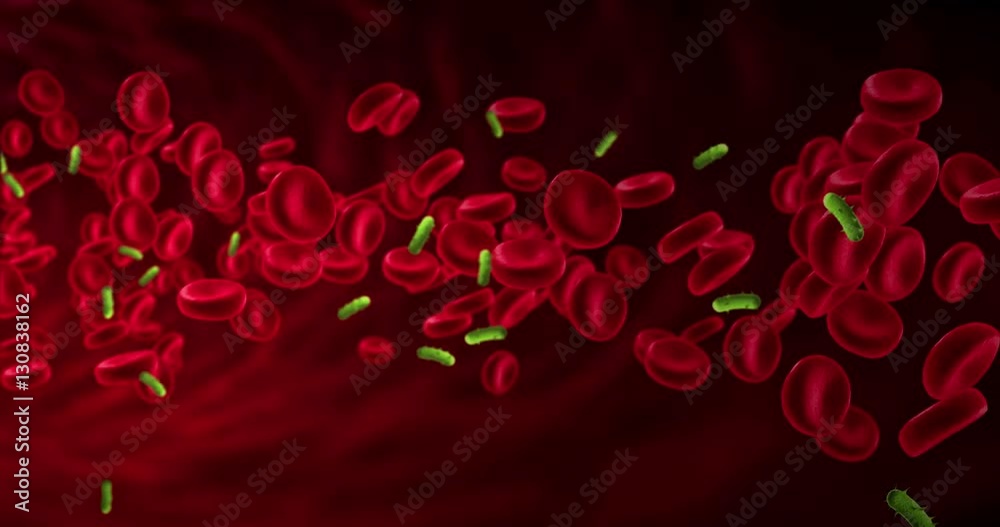 red blood cells animation in an artery near virus and bacteria, flow inside body, medical human health-care red blood cells animation in an artery near virus and bacteria, flow inside body, medical human health-care