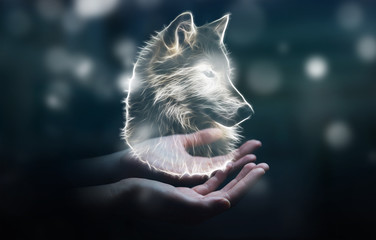 Wandcirkels Wolf Fractale illustratie van bedreigde wolf  © sdecoret