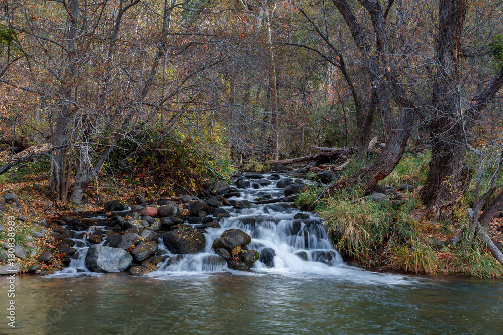 Oak Creek flows under a Canopy of Fall colors in Sedona
Oak Creek flows under a Canopy of Fall colors in Sedona