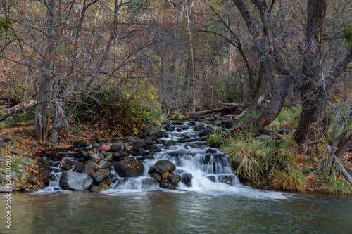 Oak Creek flows under a Canopy of Fall colors in Sedona  