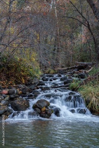 Fototapeta Naklejka Na Ścianę i Meble -  Oak Creek flows under a Canopy of Fall colors in Sedona
