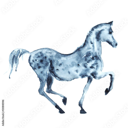 Watercolor hand painting arabian dapple grey horse on white. 