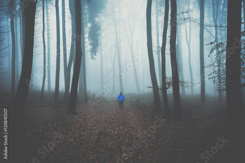 Spaziergang im Wald mit Nebel