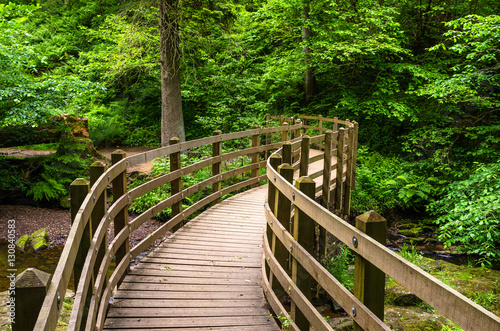 Winding Footbridge along a Forest Path