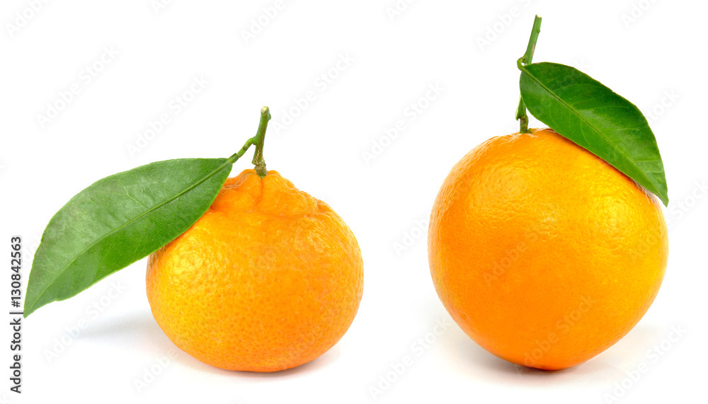 Mandarine and orange Mandarine and orange