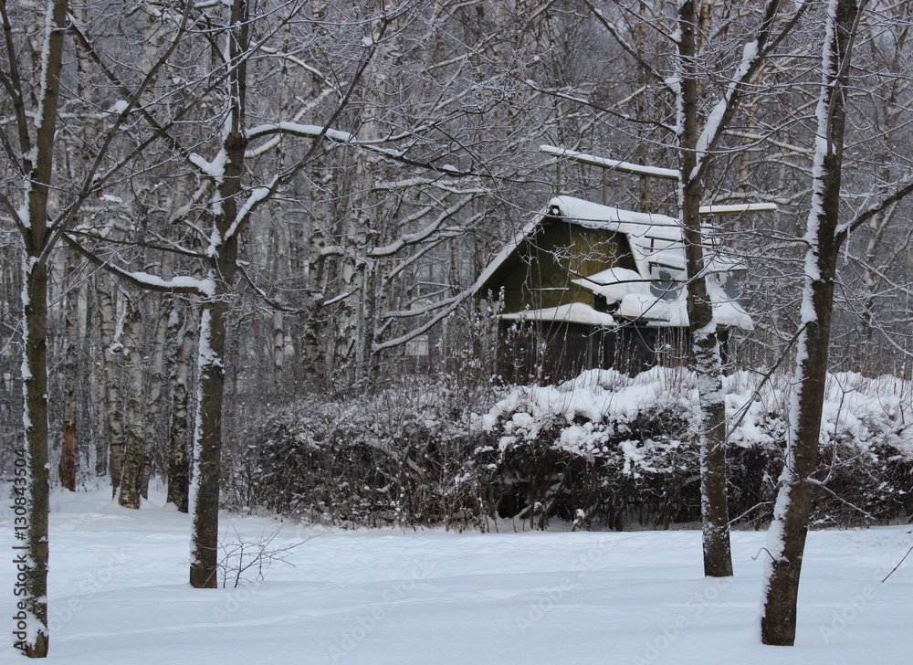 Dovecote in winter forest
