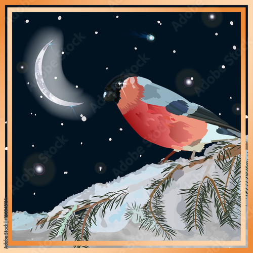 Background for a card on the day of bullfinch. Night sky and bullfinch. Bullfinch is a symbol of Japan Day holiday Bullfinch. Vector. Abstraction.